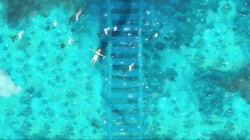 千与千寻 唯美 水 桌面壁纸