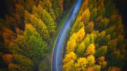 好看 秋天 树林 公路 俯视 风景 图片 高清电脑壁纸