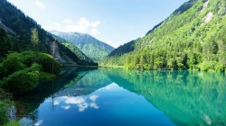 河流树林山水倒影风景桌面壁纸 素材模糊查找批量下载、素材单个下载