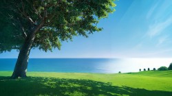海边夏树风景桌面电脑壁纸