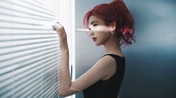 白鹿 窗 光 美女明星壁纸