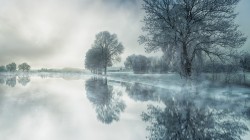 自然 树 雪 湖水 倒影 冬天 风景桌面壁纸