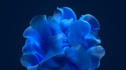 微软Windows 11 初期默认壁纸 深蓝色