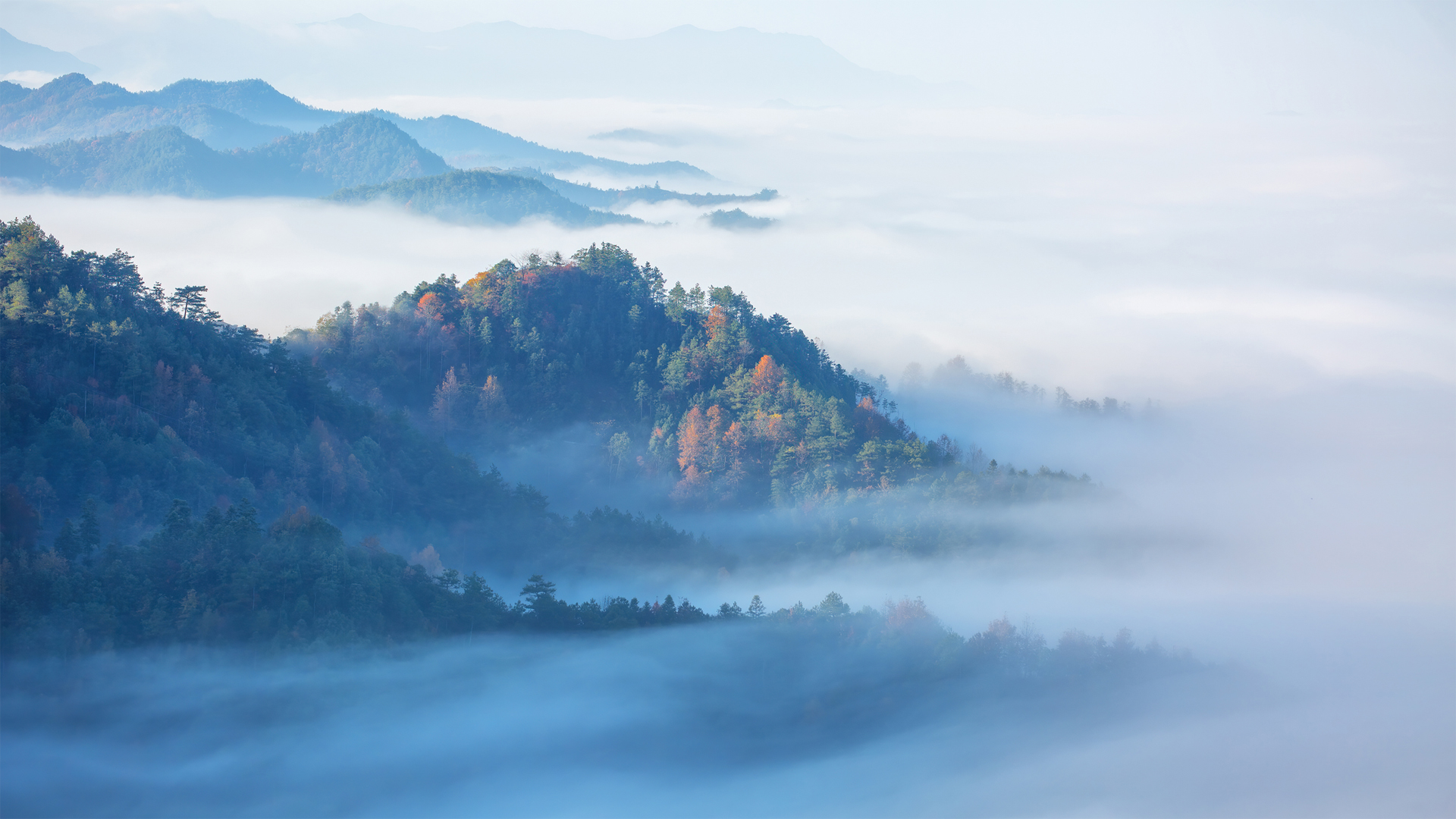 森林 雾 唯美高清风景 横屏电脑桌面壁纸